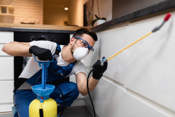 Best Local Pest Control Services  in Conway Springs, KS