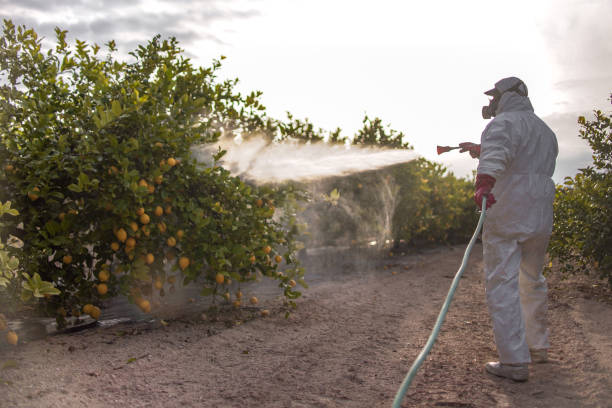 Best Exterminator Services  in Conway Springs, KS