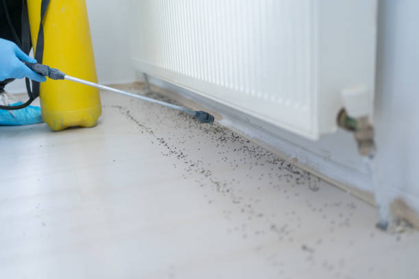 Best Bed Bug Extermination  in Conway Springs, KS