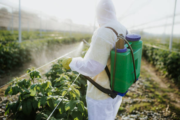 Best Best Pest Control Companies  in Conway Springs, KS